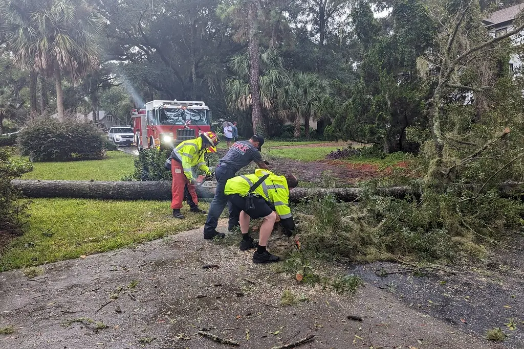 Large pine tree fallen across the roof of a Kingwood house after a storm