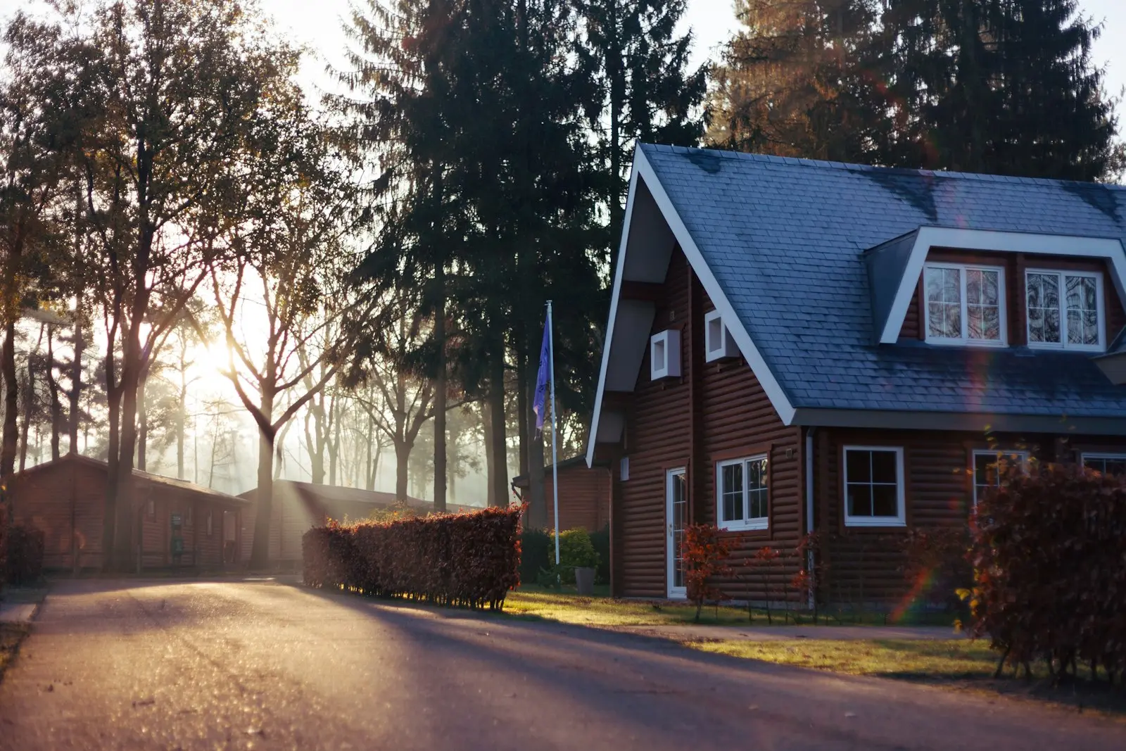 House surrounded by tall trees with a shaded shingle roof