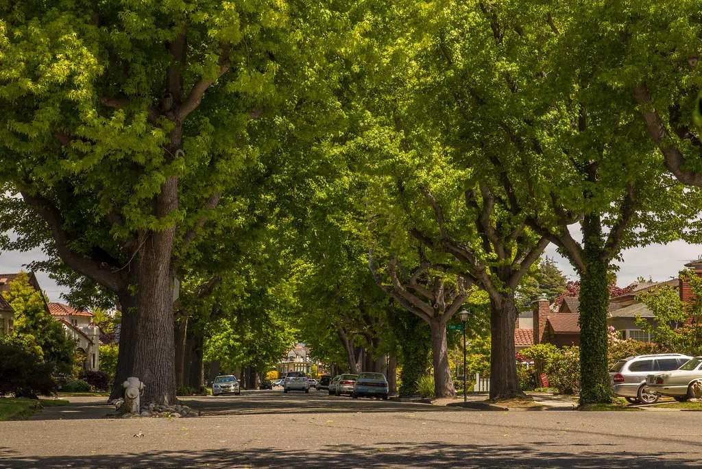 Areas We Serve Around Kingwood, TX